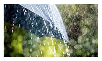 online news portal bd